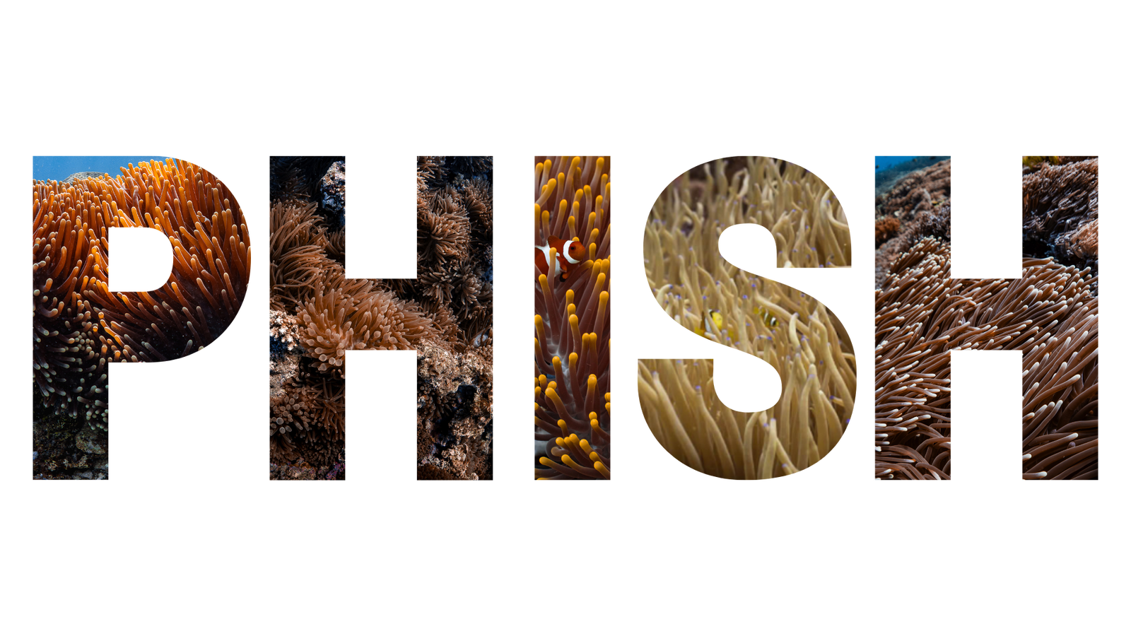 PHISH letters clownfish