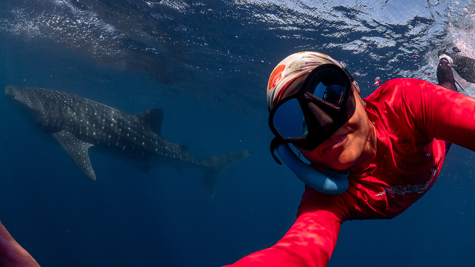 Step into it background