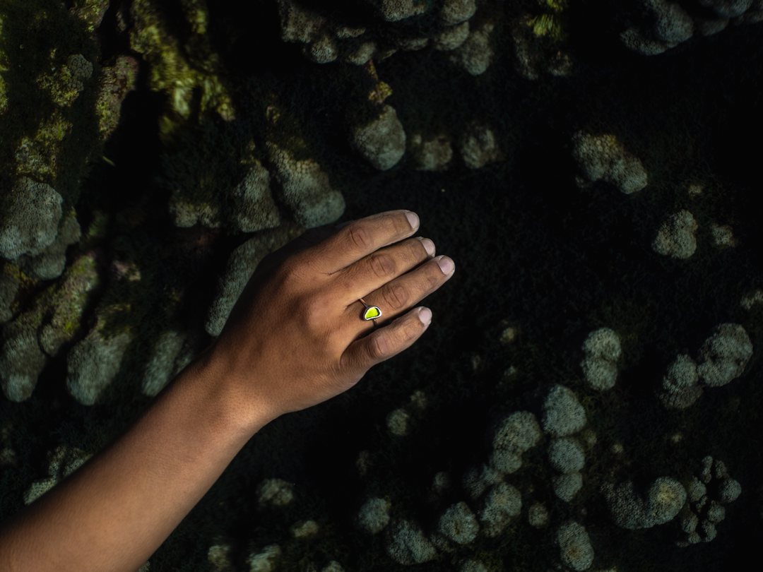 Bumble editorial movement frame