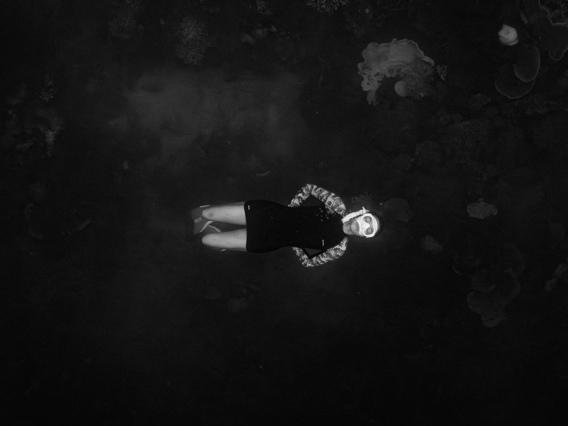 Celiea in Raja Ampat, 2024