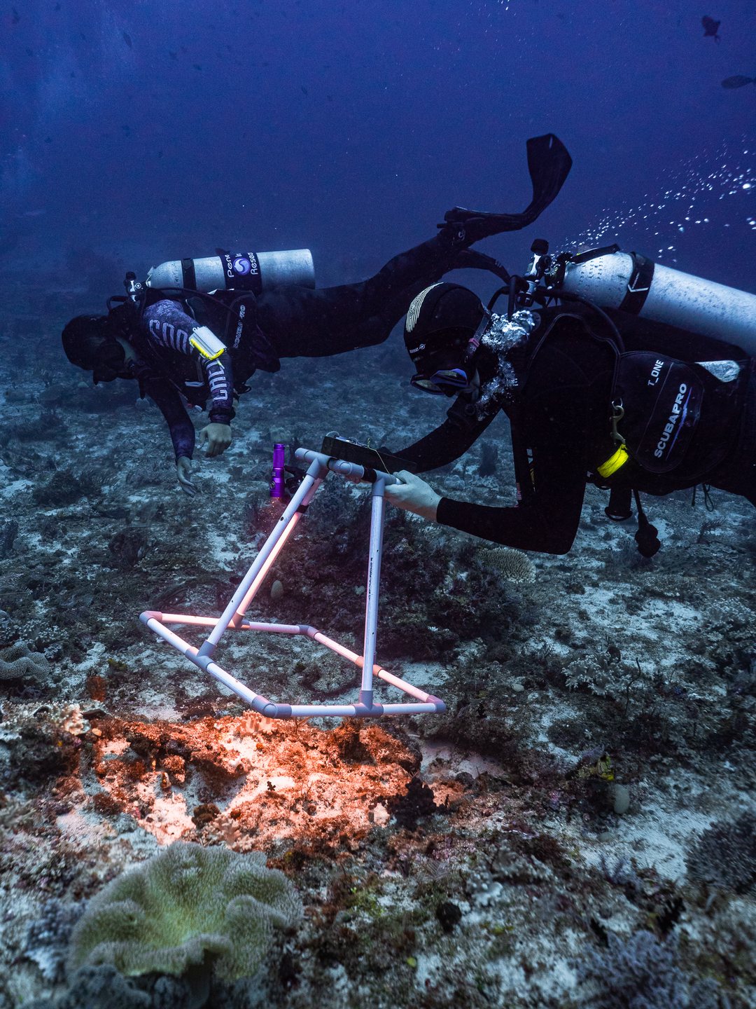 Crew in Raja Ampat 001