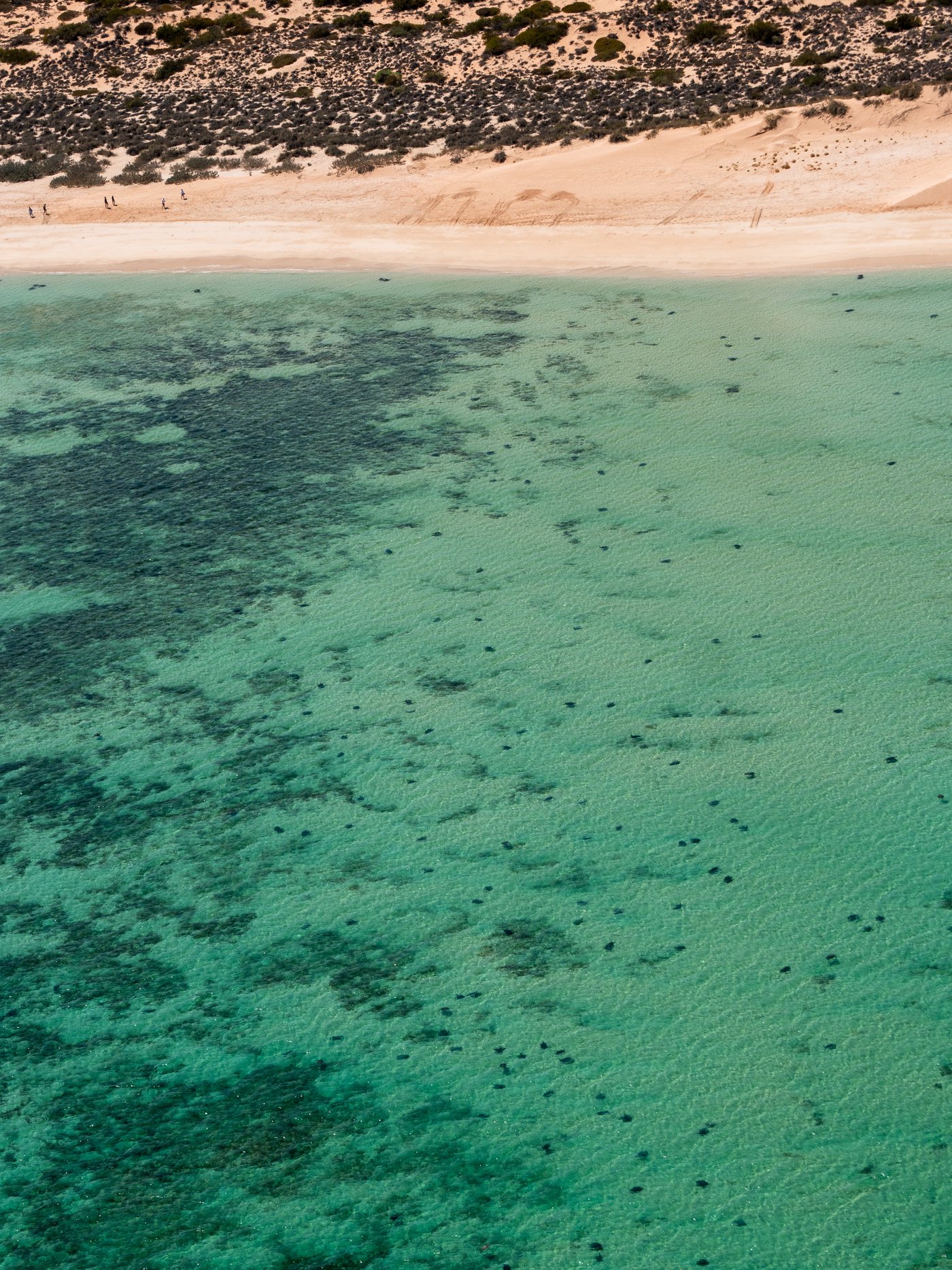 Aerial ningaloo 007