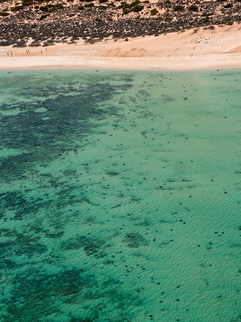 Aerial ningaloo 007