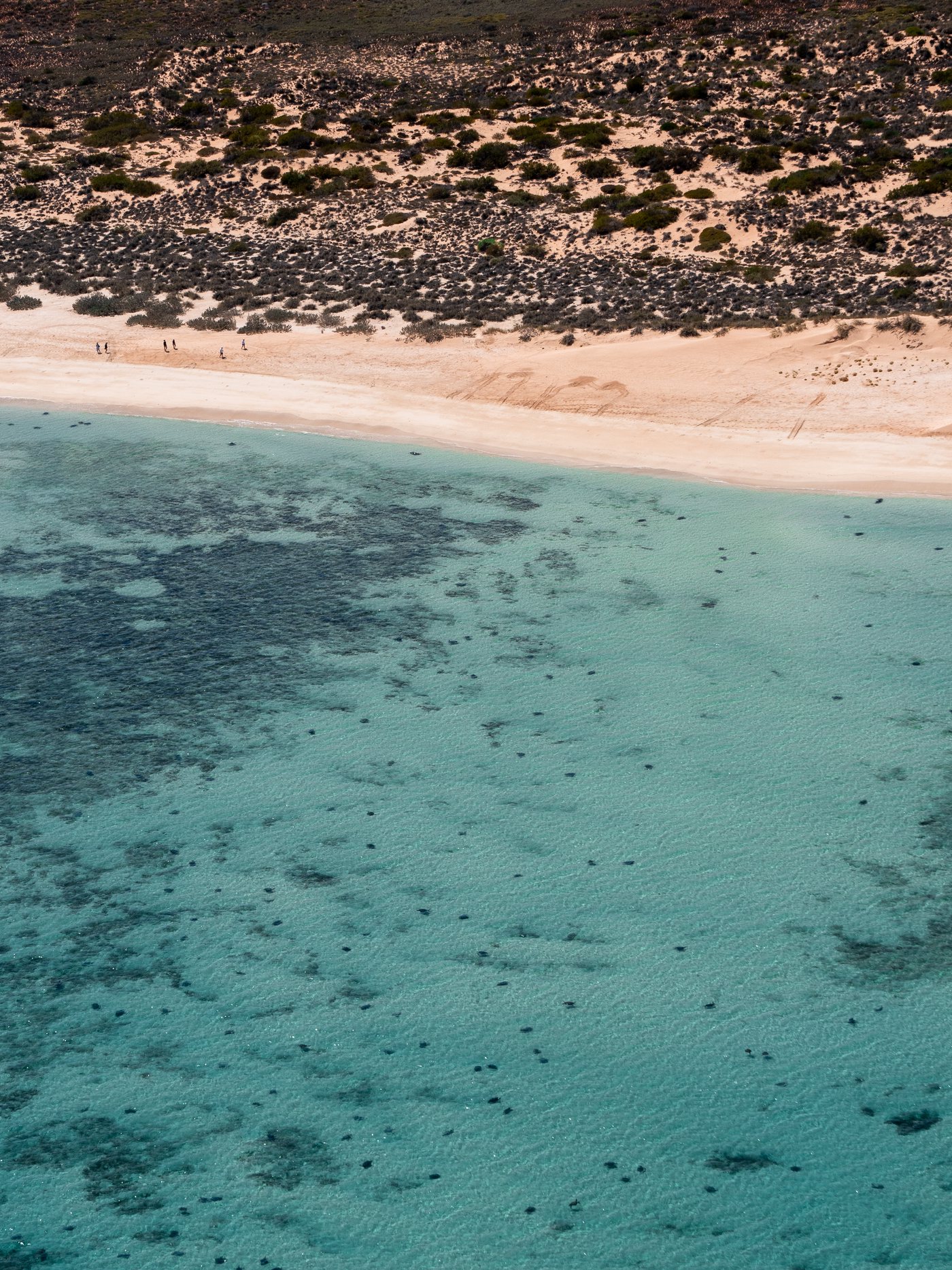 Aerial ningaloo 008