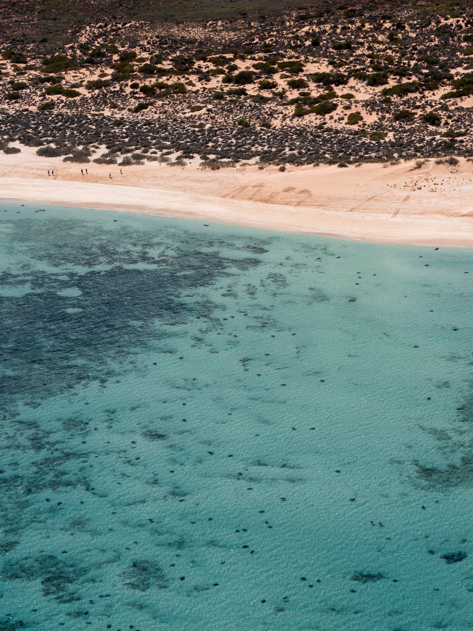 Aerial ningaloo 008