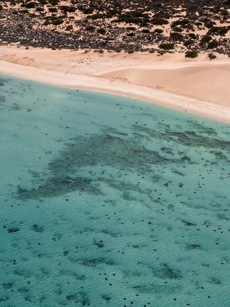 Aerial ningaloo 009