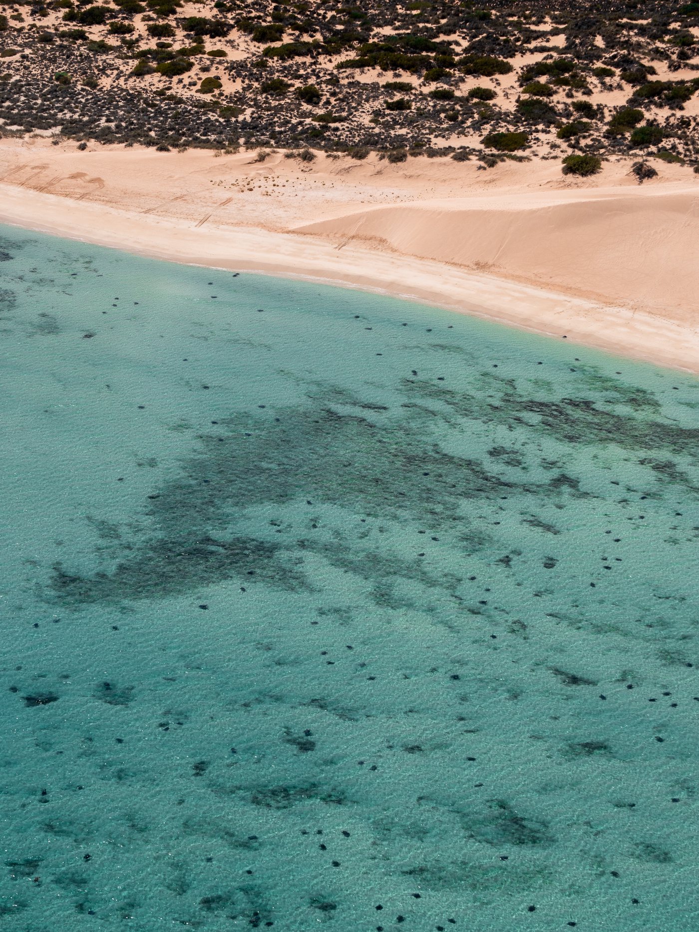 Aerial ningaloo 009