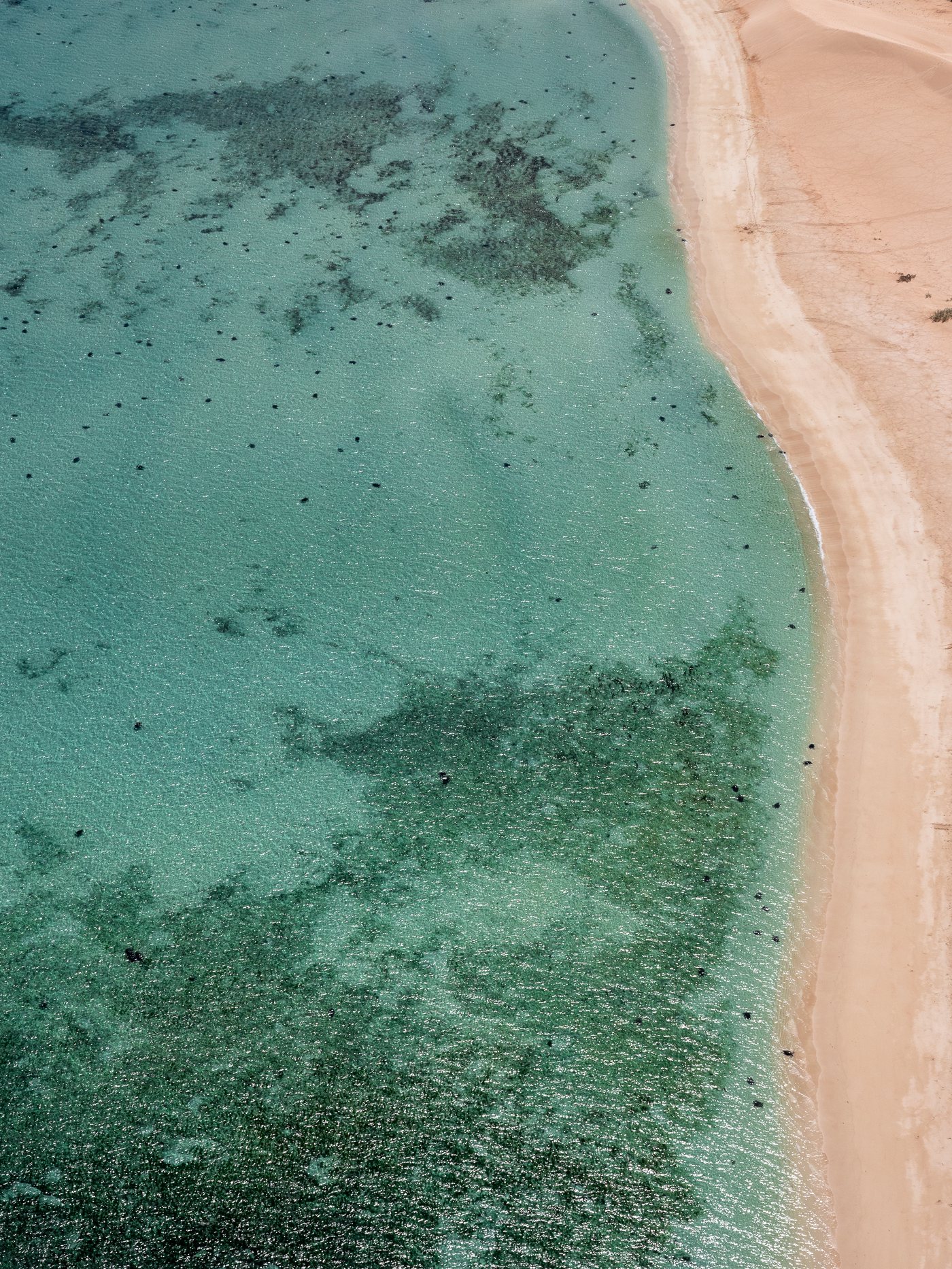 Aerial ningaloo 010