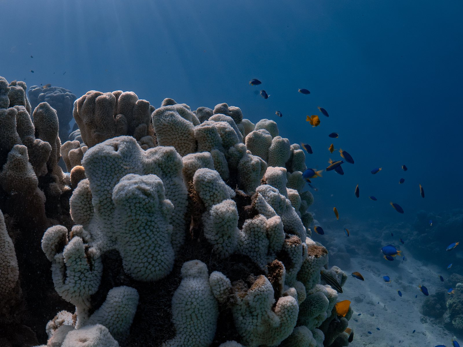 Responsibility background